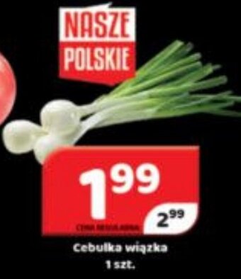 Delfin Cebulka wiązka 1 szt. oferta