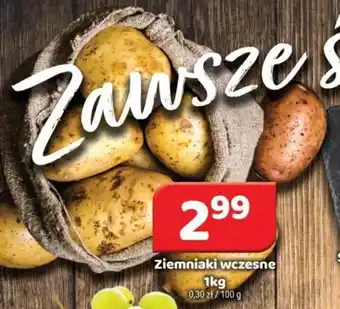 Delfin Ziemniaki wczesne 1kg oferta