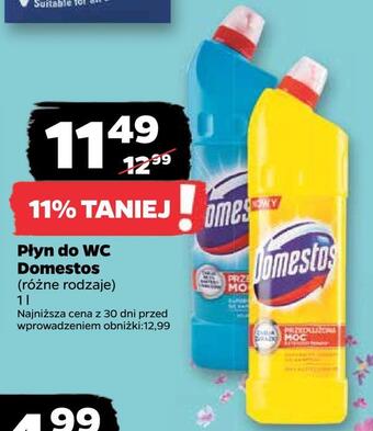 Netto Płyn do wc domestos oferta