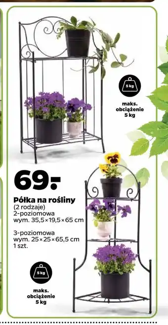Netto Półka na rośliny oferta