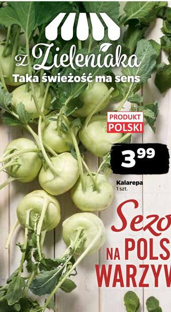 Netto Kalarepa oferta