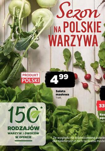 Netto Sałata masłowa oferta