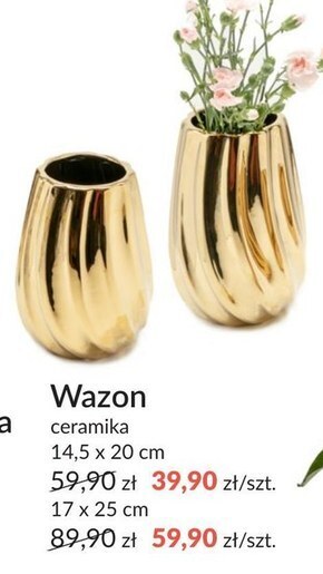 Agata Meble Wazon oferta