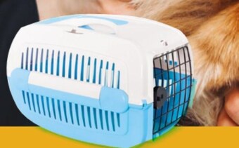 AquaelZOO Transporter dla zwierząt comfy oferta