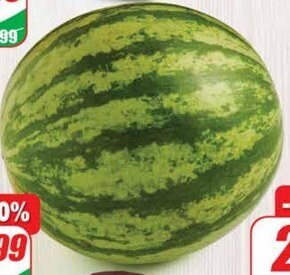 Dino Arbuz oferta