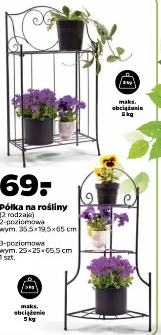 Netto Stojak dekoracyjny oferta