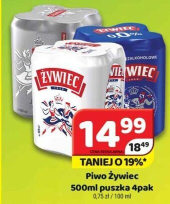 Delfin Piwo Żywiec 500ml puszka 4pak oferta