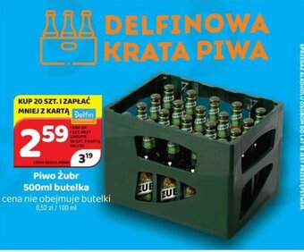 Delfin Piwo Żubr 500ml butelka oferta