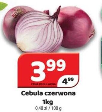 Delfin Cebula czerwona 1kg oferta