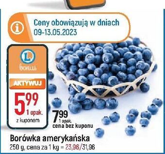 E.Leclerc Borówka amerykańska oferta
