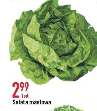 E.Leclerc Sałata masłowa oferta