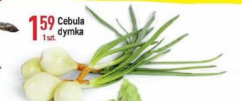 E.Leclerc Cebula dymka oferta