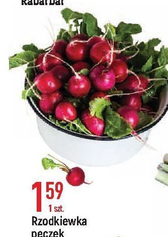 E.Leclerc Rzodkiewka oferta