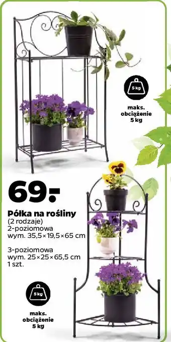 Netto Półka na rośliny 25 x 65.5 cm oferta