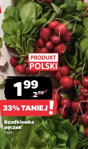 Netto Rzodkiewka oferta