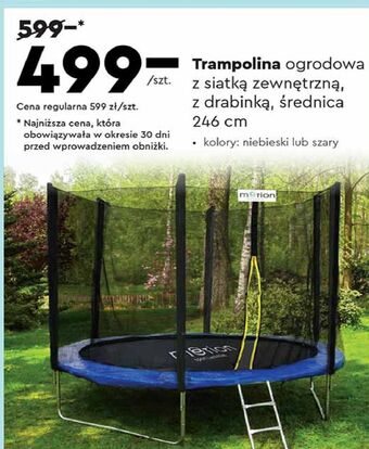 Biedronka Trampolina ogrodowa z siatką 246 cm szary oferta