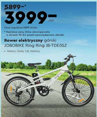 Rower elektryczny górski jobobike ring jb-tde05z zielony