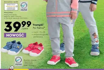 Biedronka Trampki psi patrol 25-28 oferta