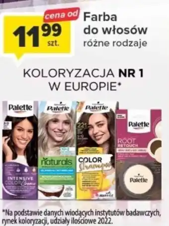 Palette Farba do włosów