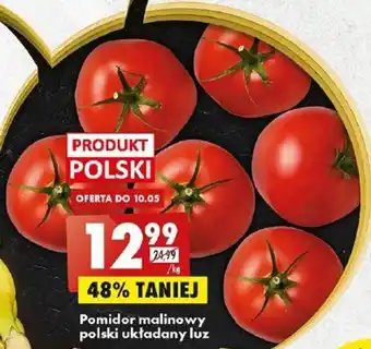 Biedronka Pomidor malinowy polski układany luz oferta