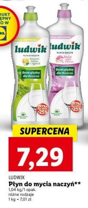 Lidl LUDWIK Płyn do mycia naczyń 1,04 kg oferta