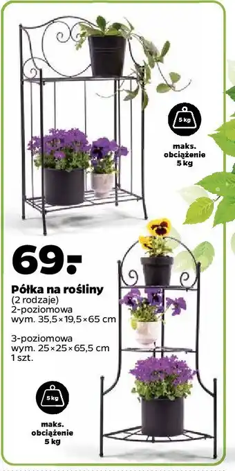Netto Półka na rośliny 25 x 25 x 65.5 cm oferta