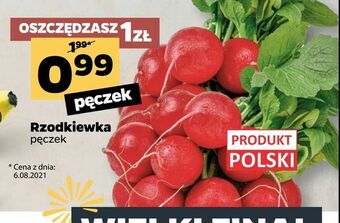 Netto Rzodkiewka oferta