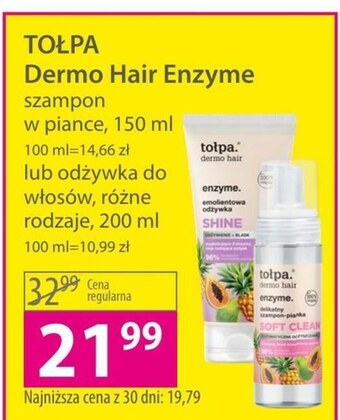 Hebe Szampon tołpa oferta