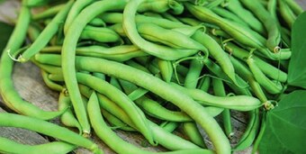 Auchan Fasolka zielona oferta