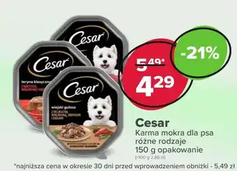 Drogeria Dr.Max Karma dla psa cesar oferta