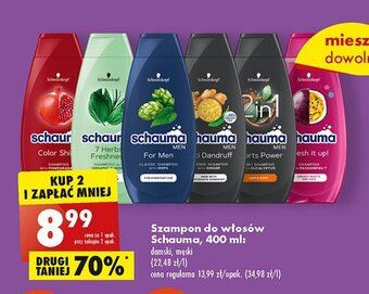 Biedronka Szampon do włosów oferta