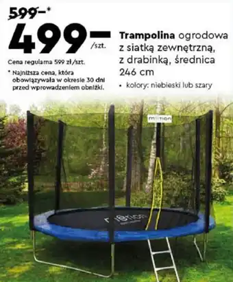 Biedronka Trampolina oferta
