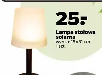 Netto Lampa solarna 15 x 31 cm oferta