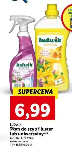 Lidl Płyn do szyb i luster kwiat wiśni lotosu ludwik oferta