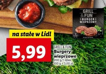 Lidl Burgery wieprzowe grill and fun oferta