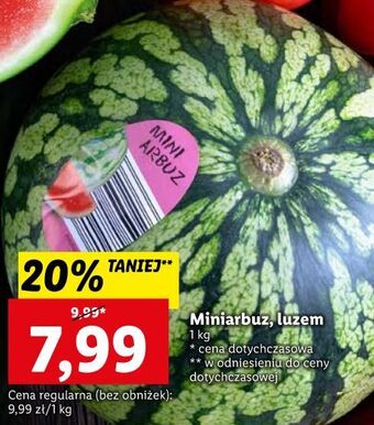Lidl Arbuz mini oferta