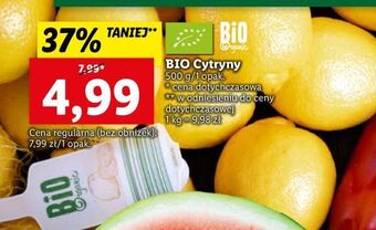 Lidl Cytryny bio organic oferta