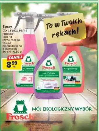 Carrefour Środek do usuwania kamienia malinowy frosch oferta