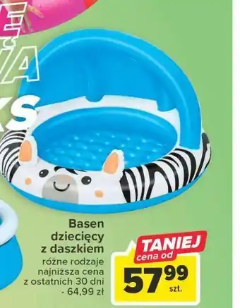Carrefour Basen z daszkiem zebra oferta