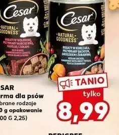 Kaufland Karma dla psa z kurczakiem cesar (karma) oferta
