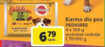 Carrefour Market Karma dla psa wybór smaków w galarecie oferta