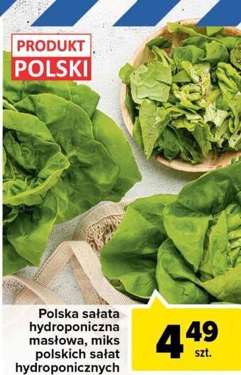 Carrefour Sałata masłowa oferta