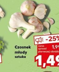 Kaufland Czosnek młody oferta
