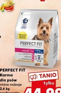 Kaufland Karma dla psa adult 1+ oferta