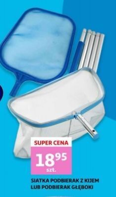 Auchan Siatka podbierak z kijem oferta