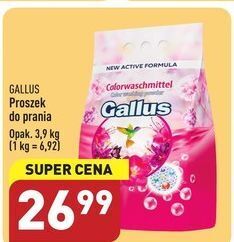 ALDI Proszek do prania gallus oferta