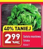 ALDI Sałata masłowa oferta