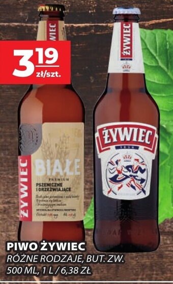 Top Market PIWO ŻYWIEC 500ml oferta