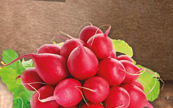 Gram Market Rzodkiewki oferta