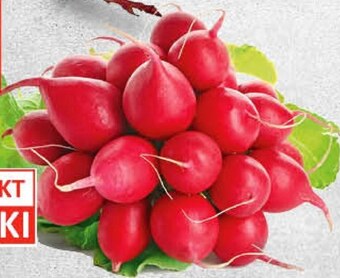 Polomarket Rzodkiewki oferta